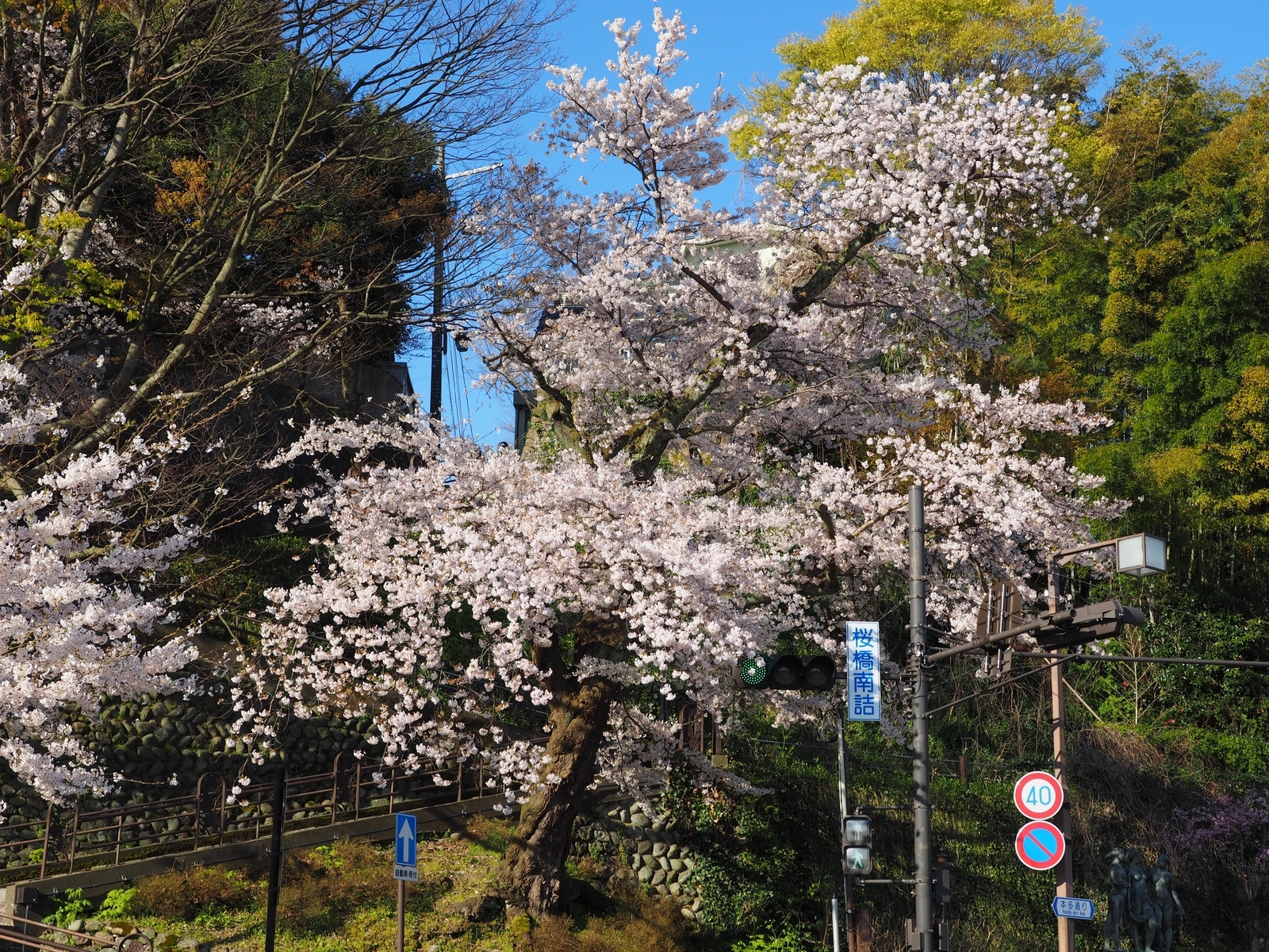 f:id:k10no3:20190413072313j:plain