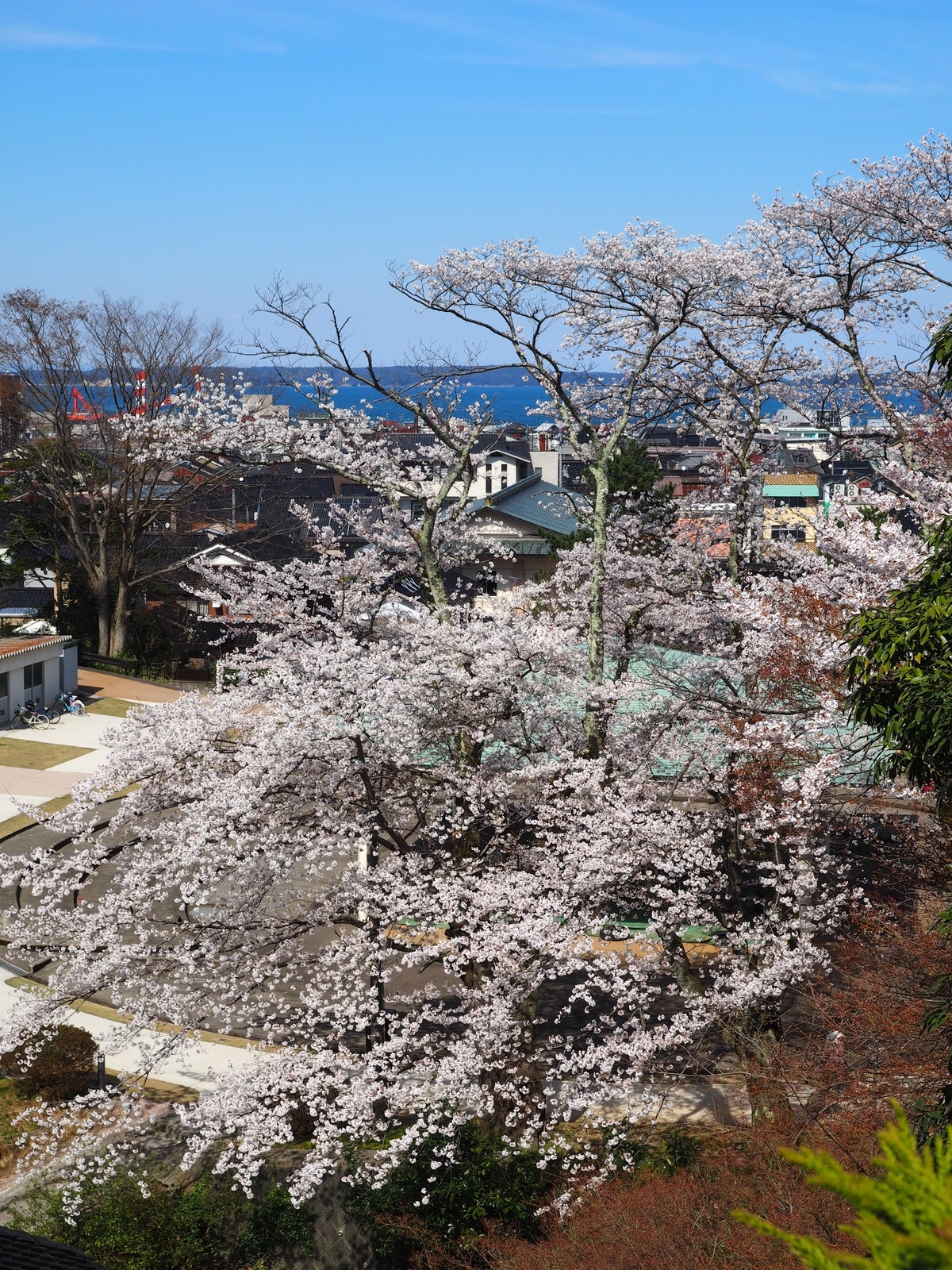 f:id:k10no3:20190413140053j:plain