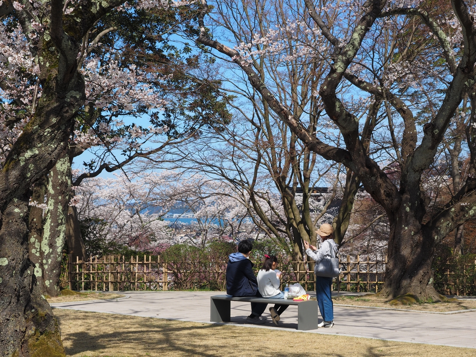 f:id:k10no3:20190413140805j:plain