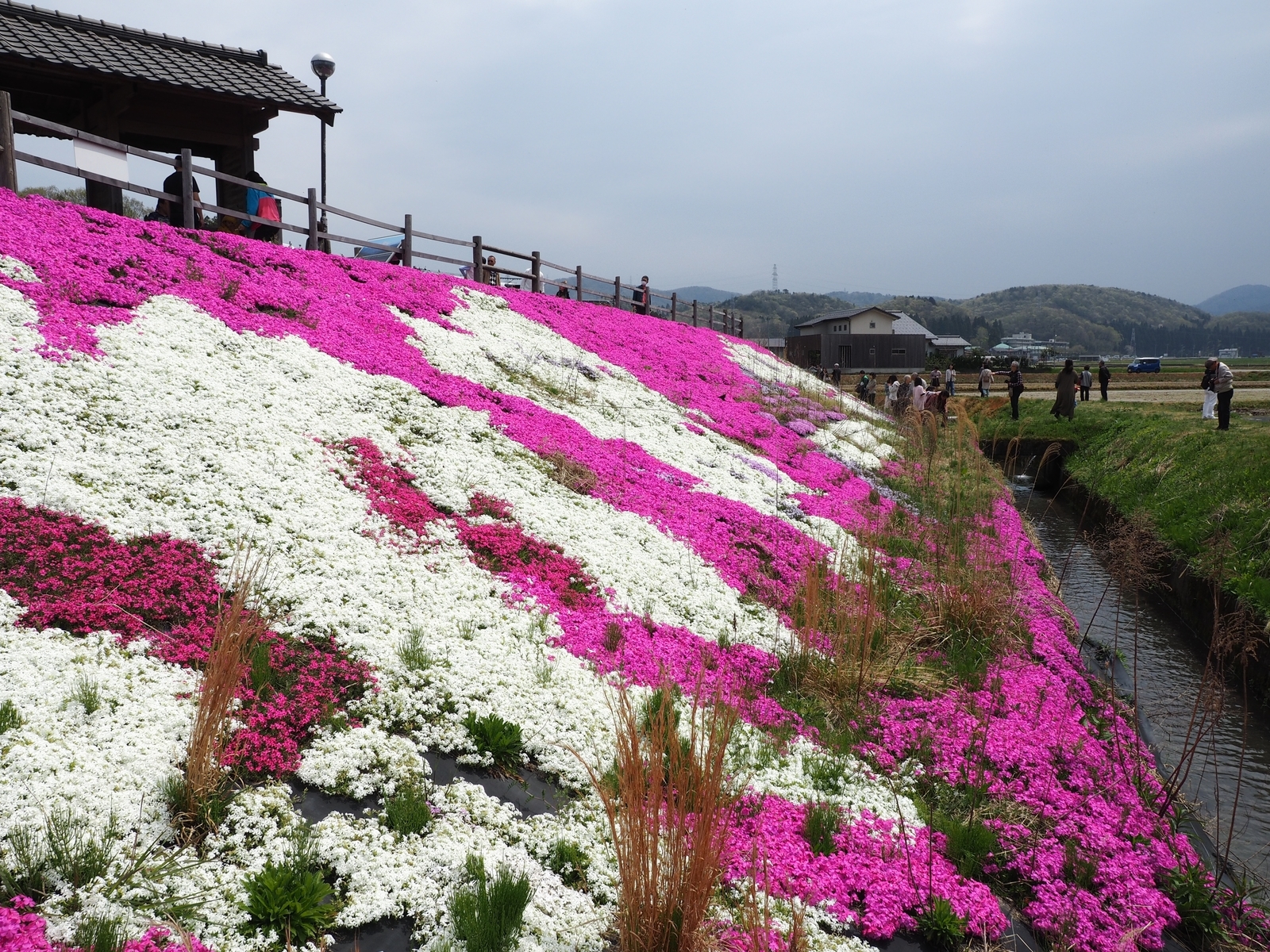 f:id:k10no3:20190421111446j:plain