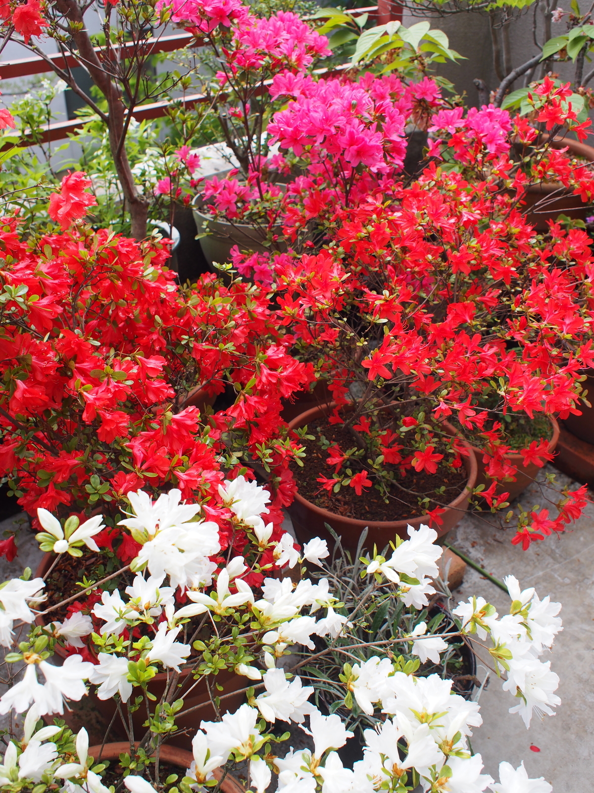 f:id:k10no3:20190427131553j:plain