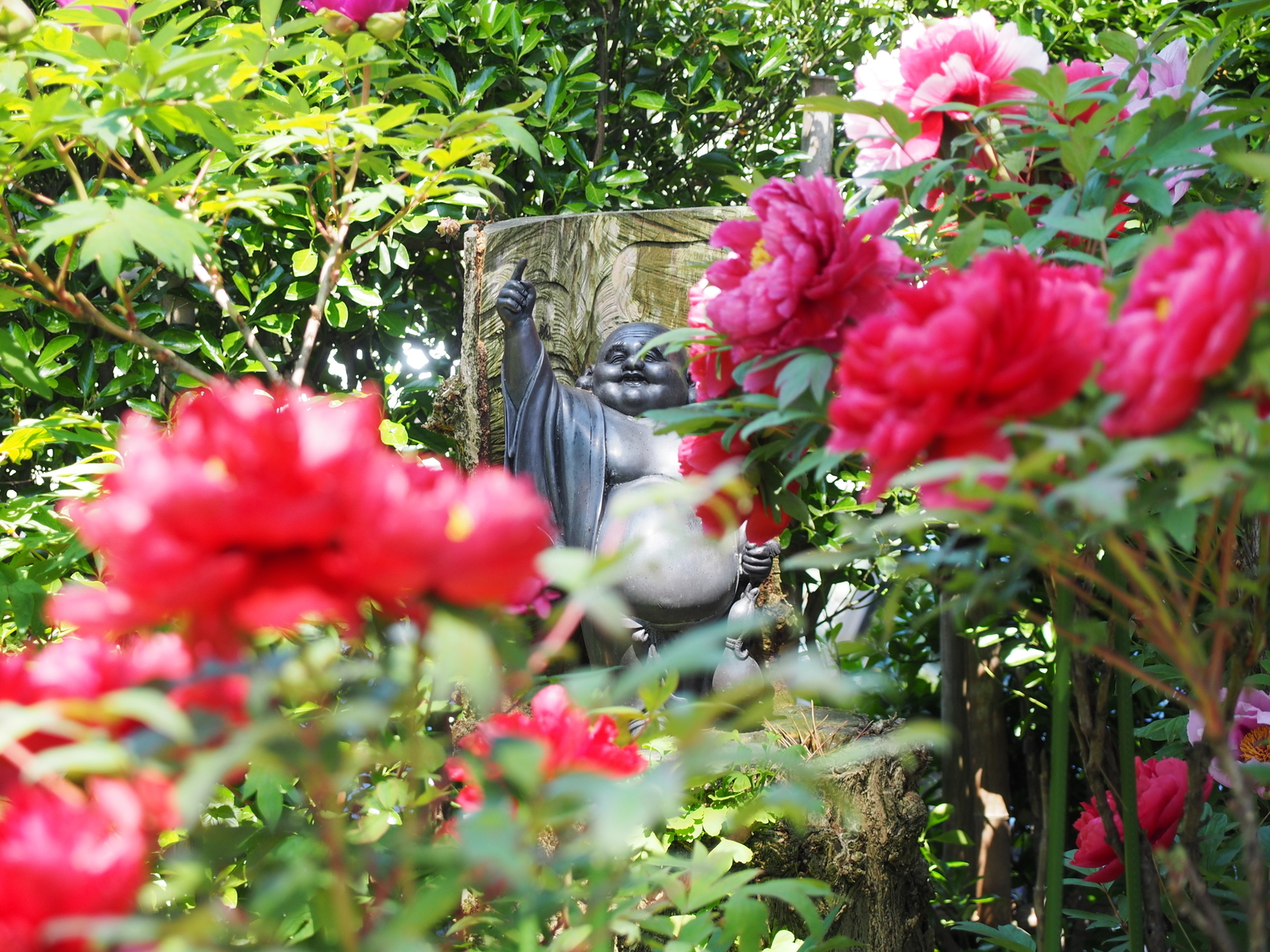 f:id:k10no3:20190504105756j:plain