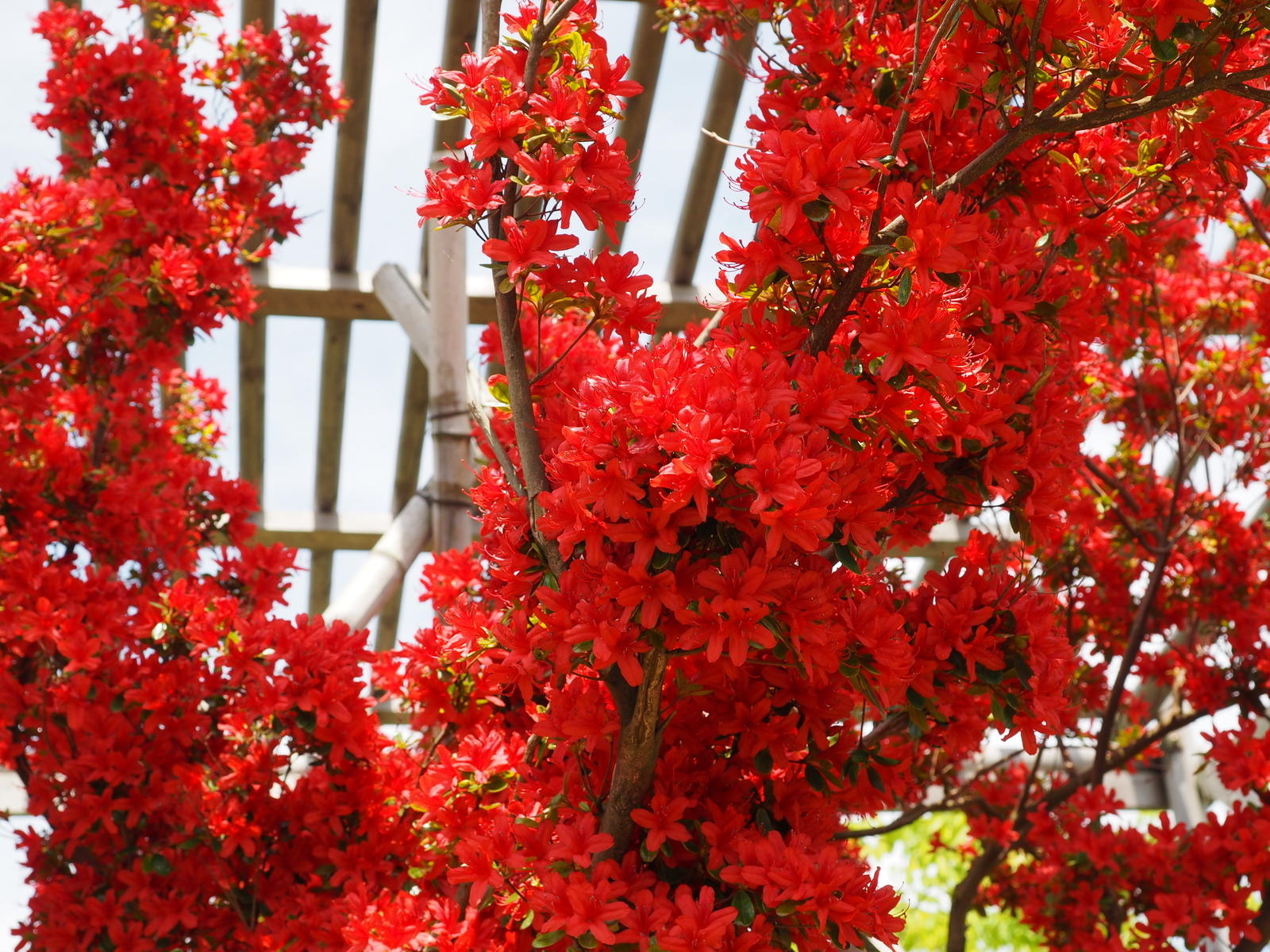 f:id:k10no3:20190511110703j:plain