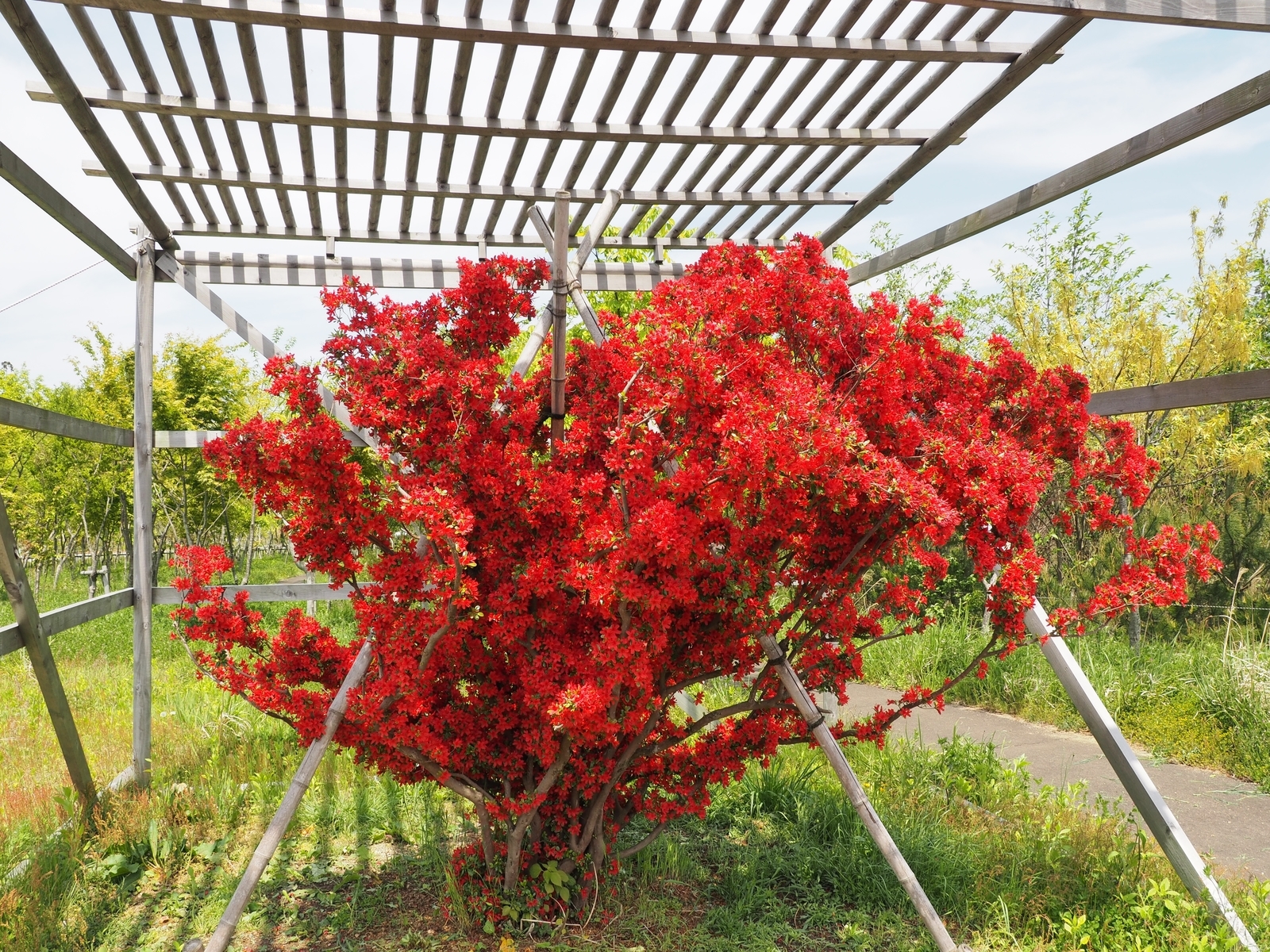 f:id:k10no3:20190511110714j:plain