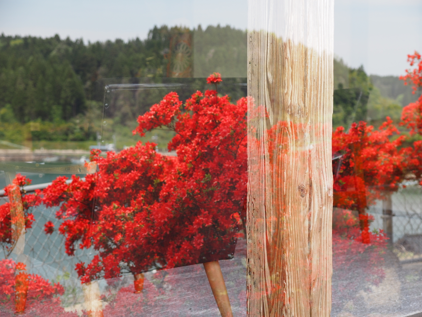 f:id:k10no3:20190511115909j:plain