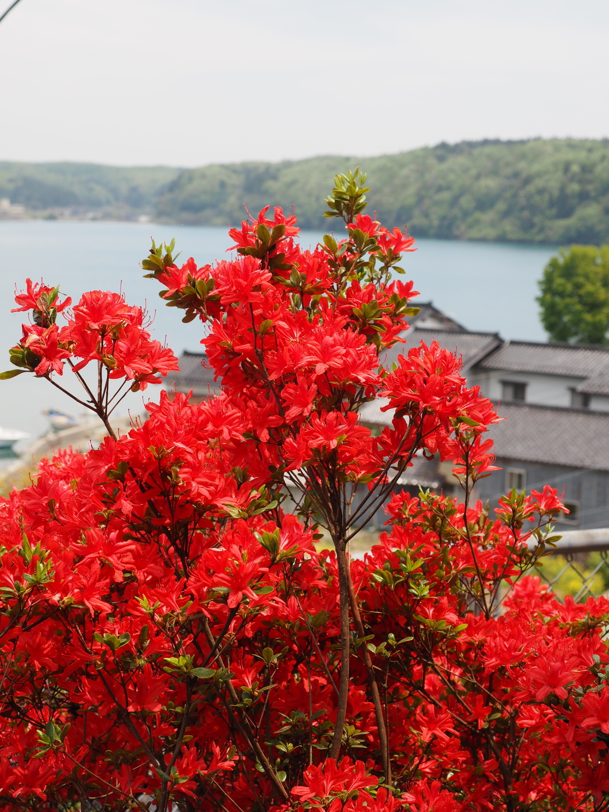 f:id:k10no3:20190511115928j:plain