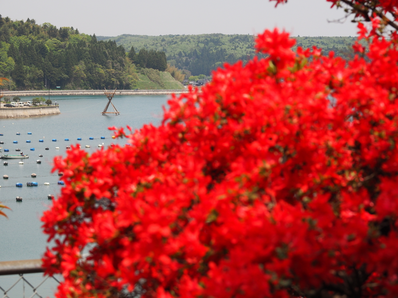 f:id:k10no3:20190511120144j:plain