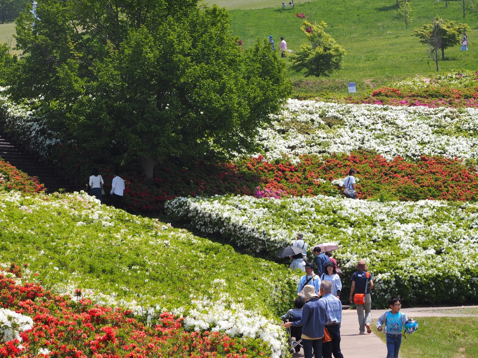 f:id:k10no3:20190512114411j:plain