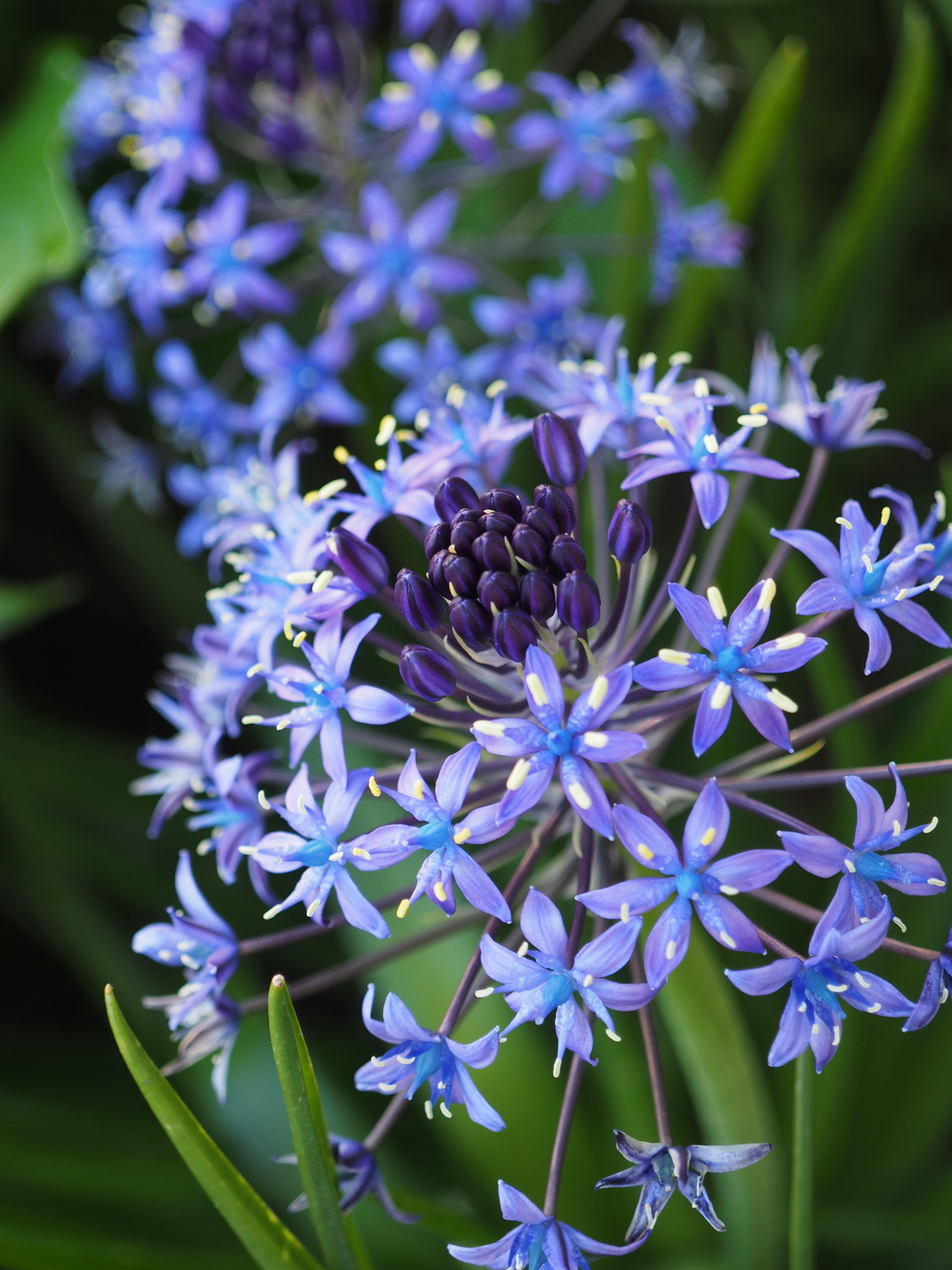f:id:k10no3:20190516060727j:plain f:id:k10no3:20190516060727j:plain