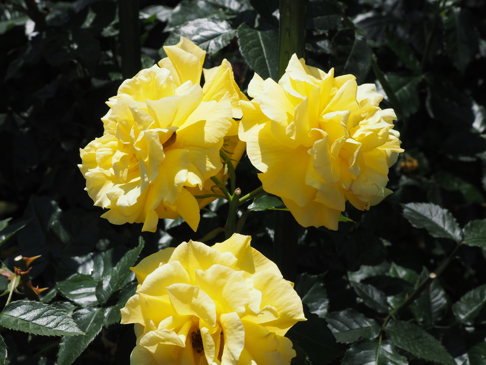 f:id:k10no3:20190601104933j:plain