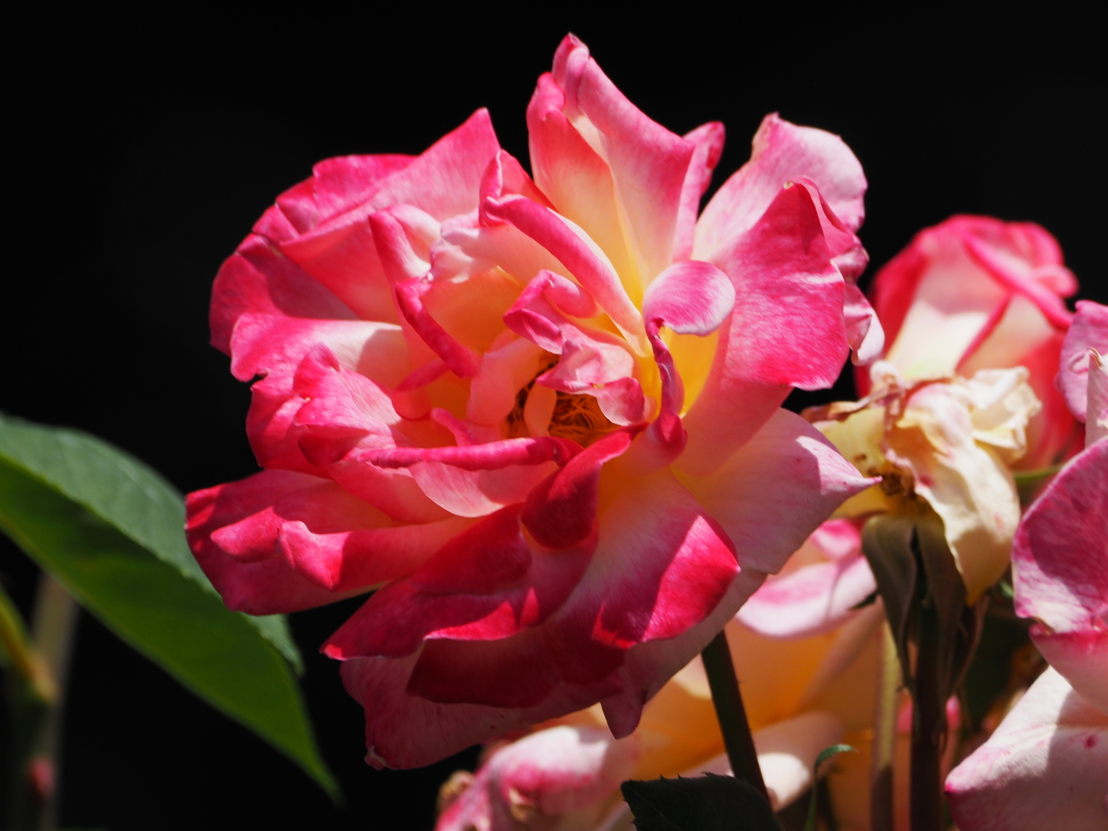 f:id:k10no3:20190601110555j:plain