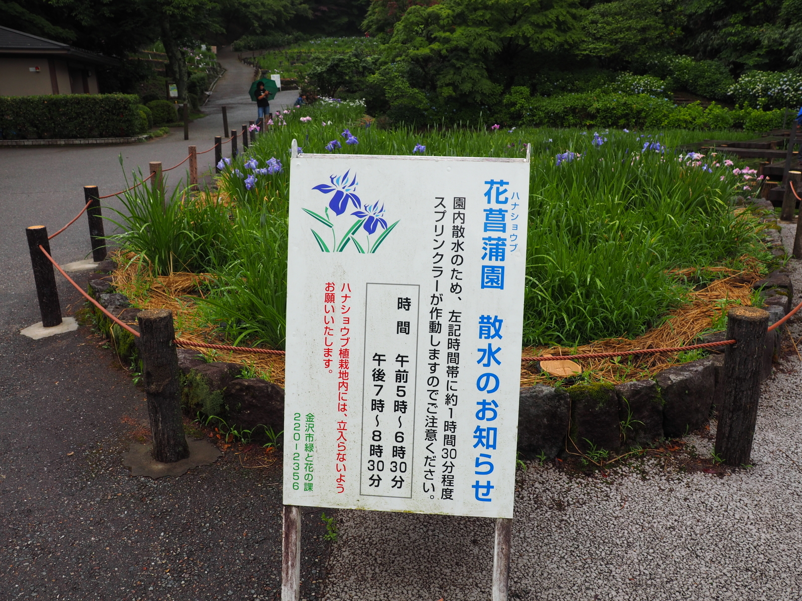f:id:k10no3:20190608122441j:plain