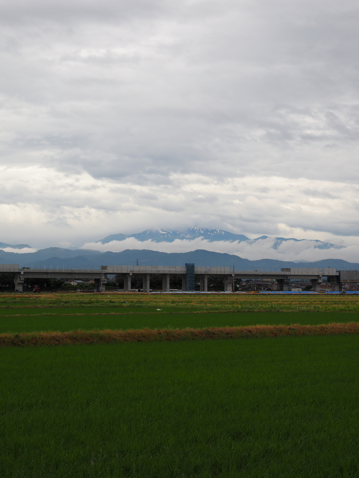 f:id:k10no3:20190615111351j:plain