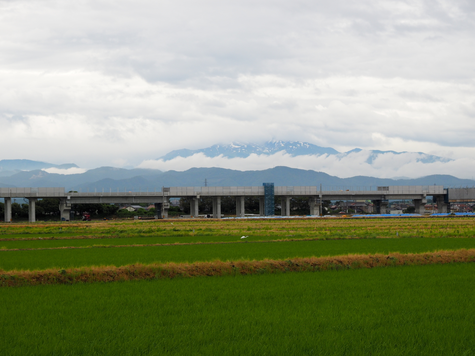 f:id:k10no3:20190615111359j:plain
