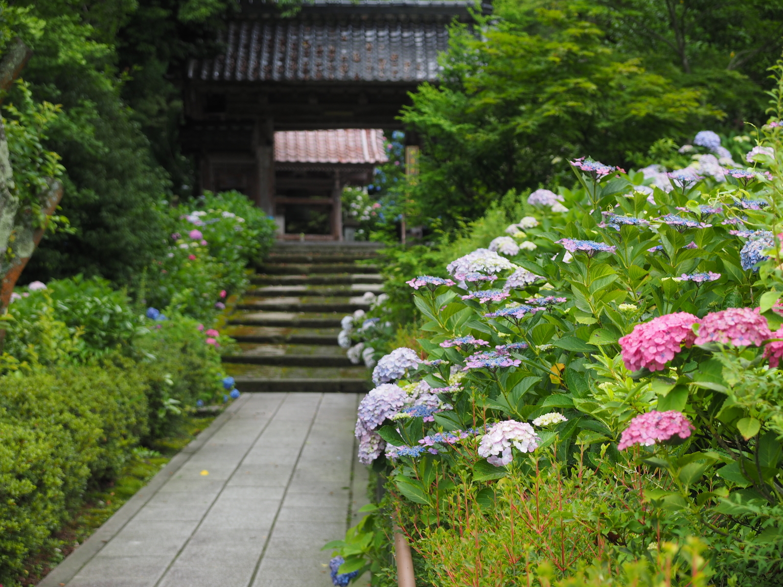 f:id:k10no3:20190629080708j:plain