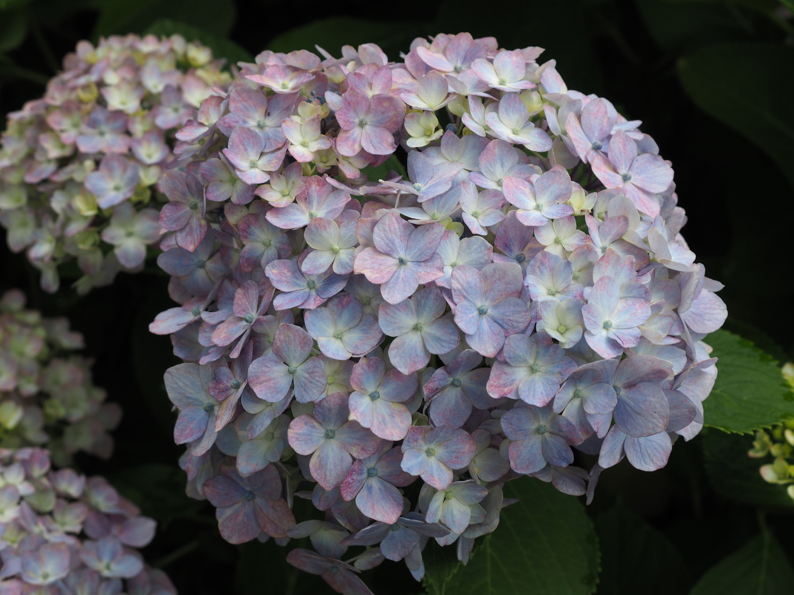 f:id:k10no3:20190629080753j:plain