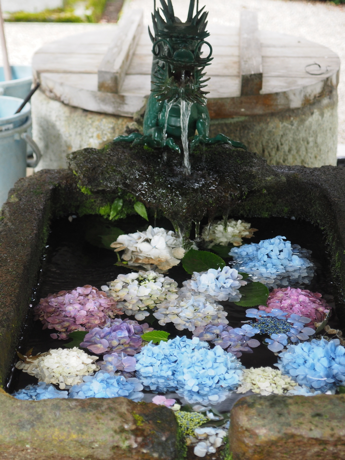 f:id:k10no3:20190629081308j:plain