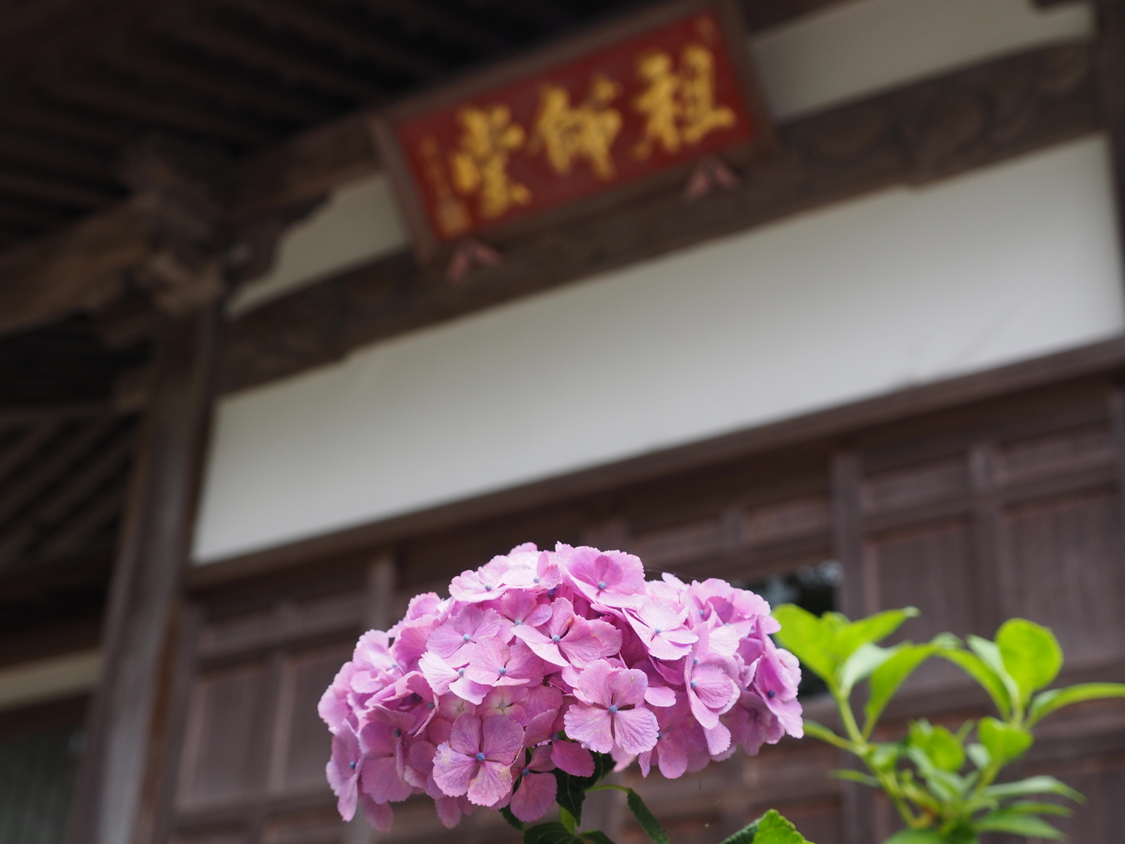 f:id:k10no3:20190629081504j:plain