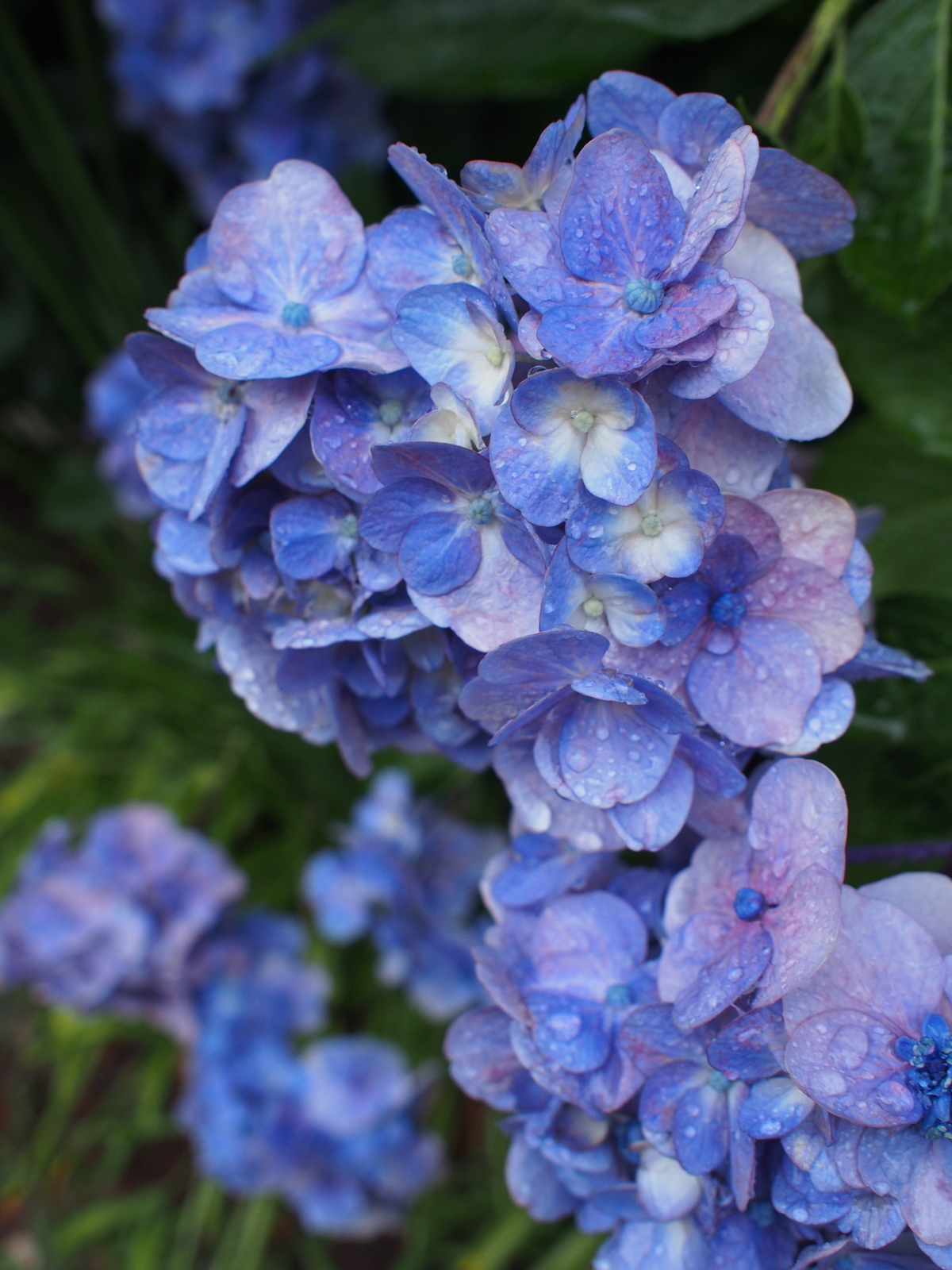 f:id:k10no3:20190711182620j:plain