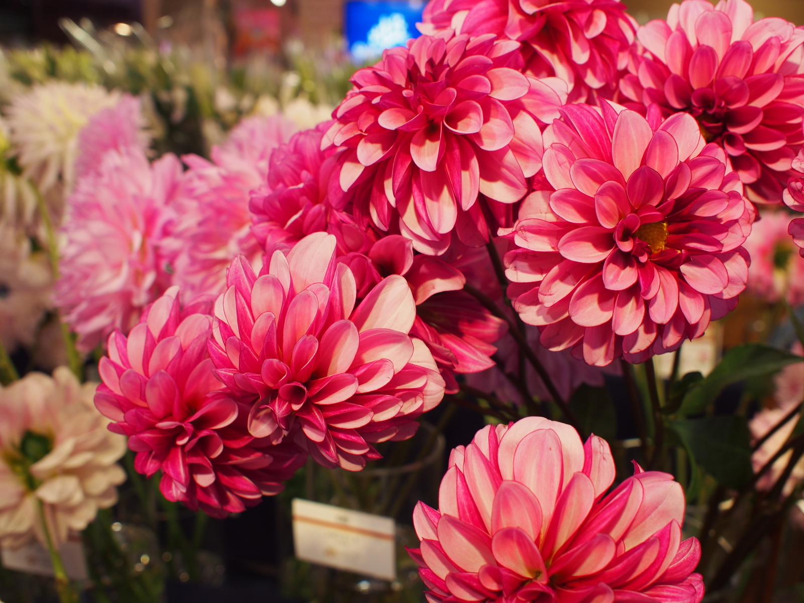 f:id:k10no3:20191013133010j:plain