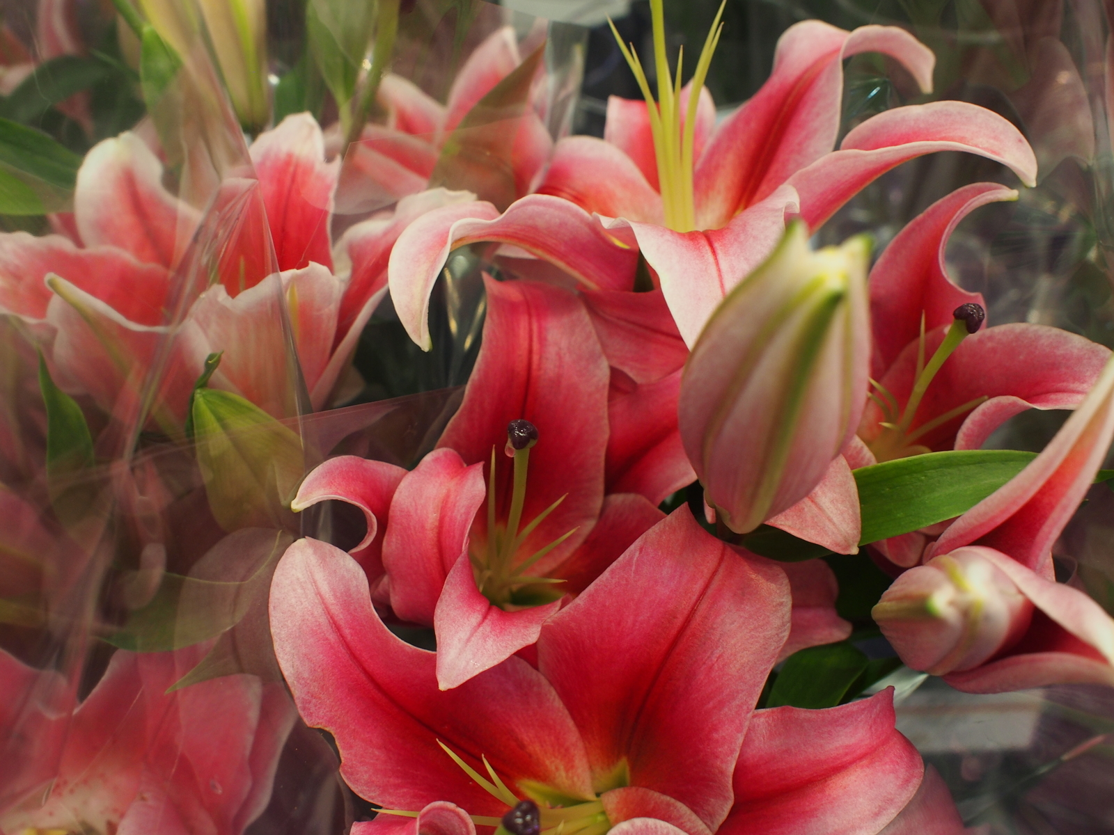 f:id:k10no3:20191013133108j:plain