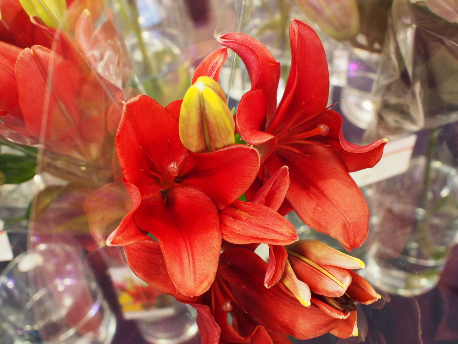 f:id:k10no3:20191013133116j:plain