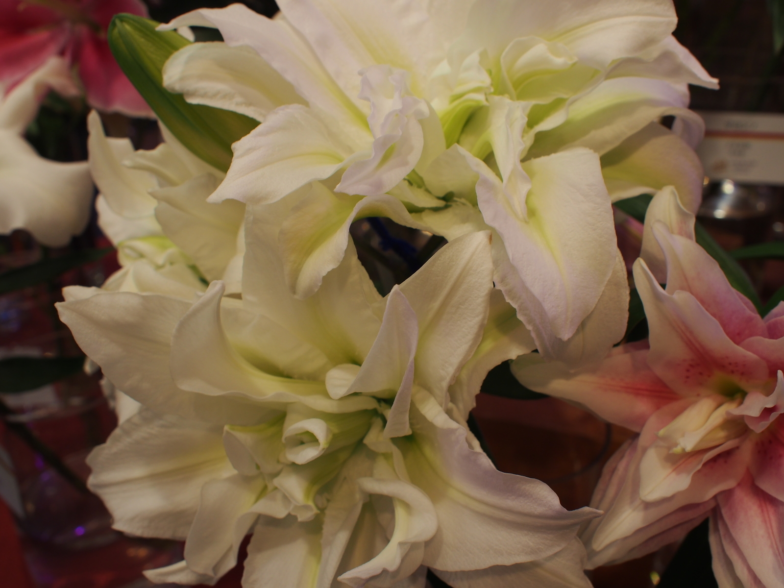 f:id:k10no3:20191013133158j:plain
