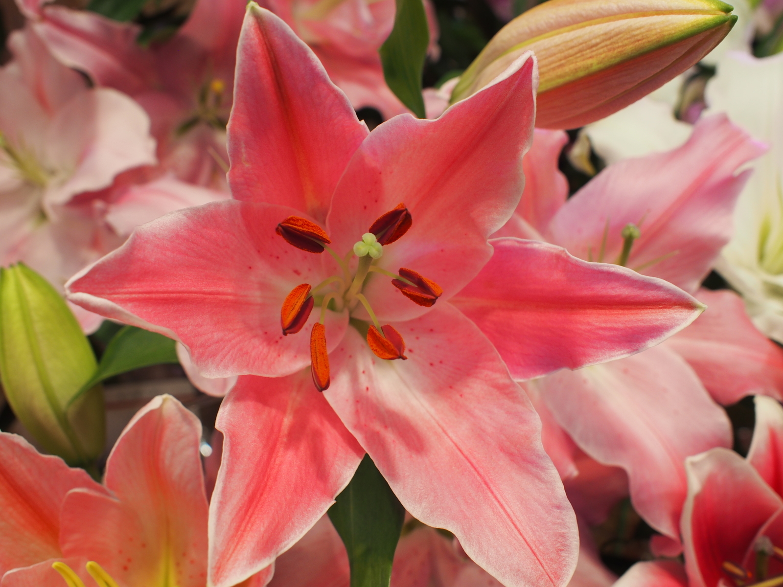 f:id:k10no3:20191013133247j:plain