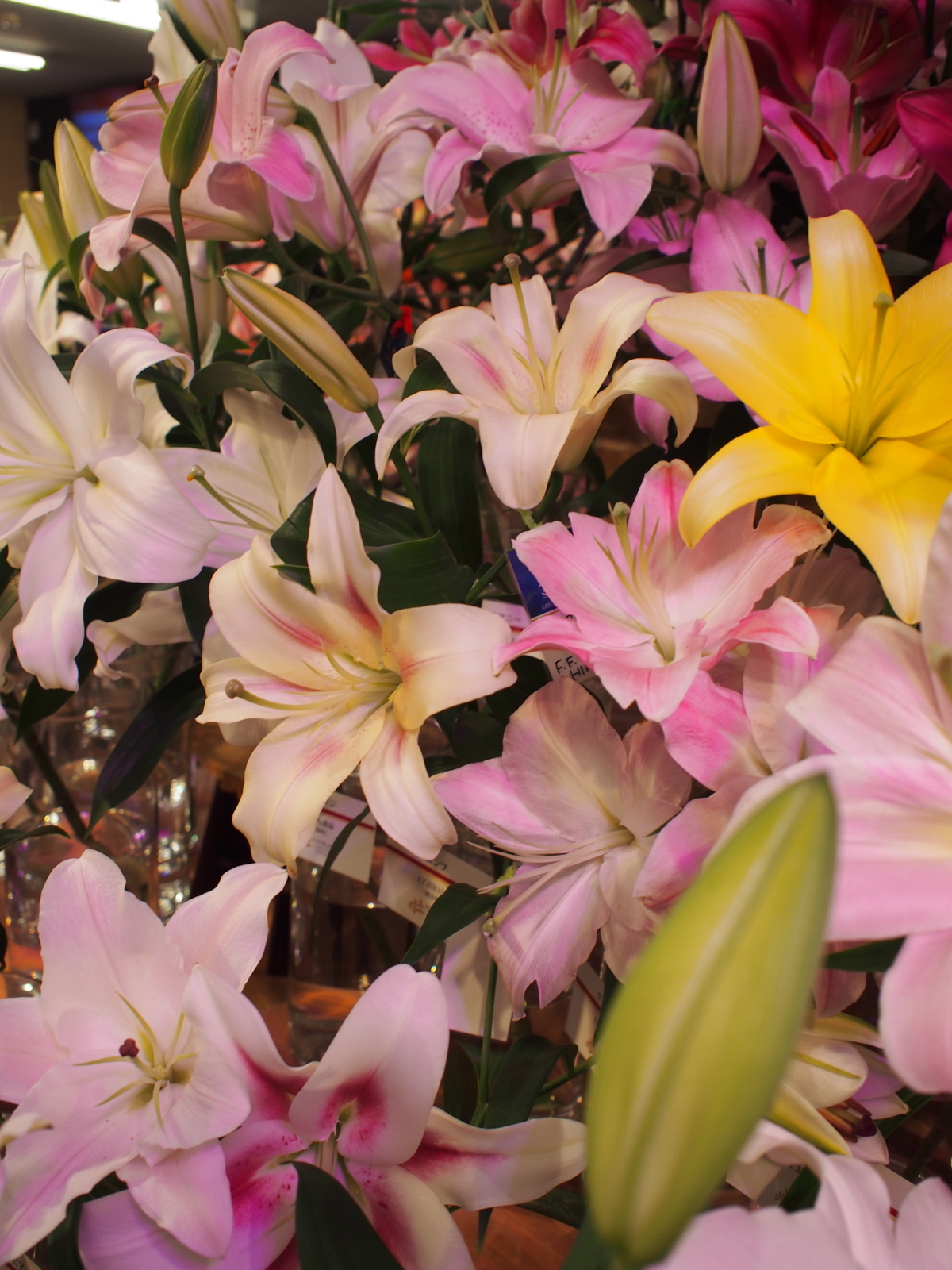 f:id:k10no3:20191013133438j:plain