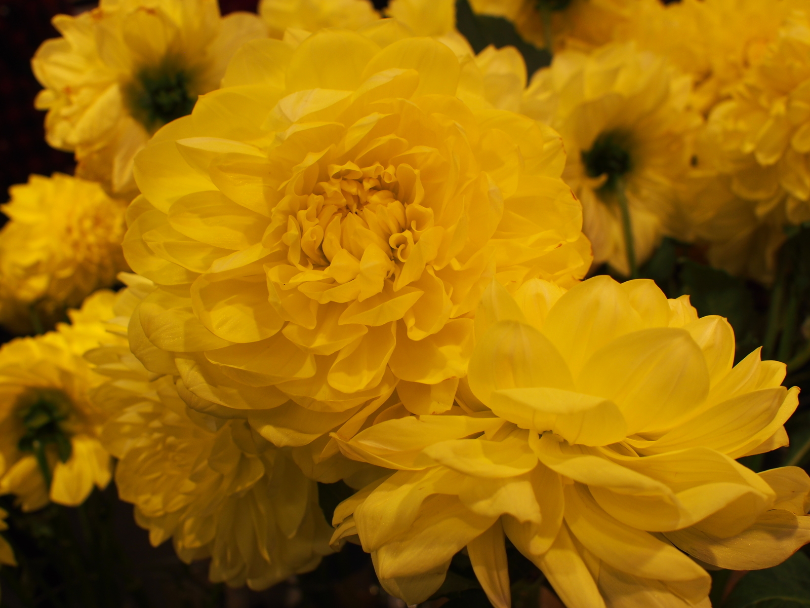 f:id:k10no3:20191013133506j:plain