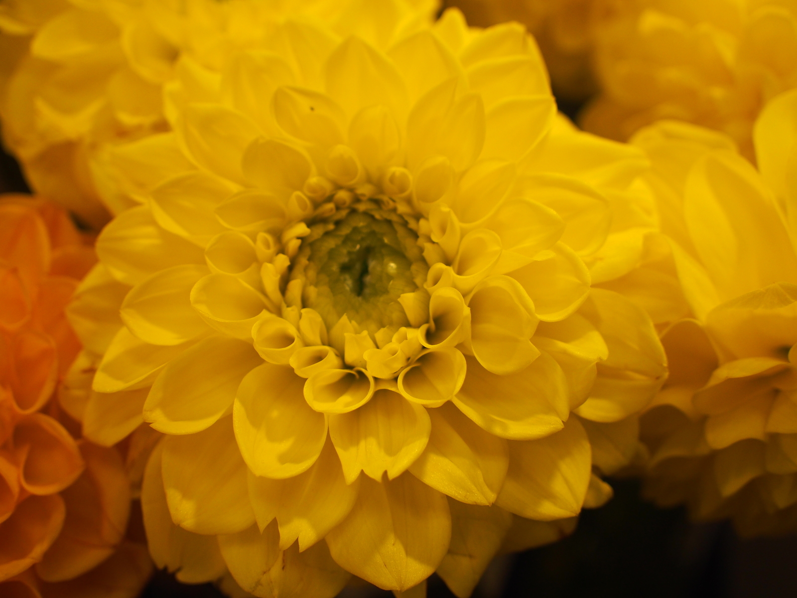 f:id:k10no3:20191013133606j:plain