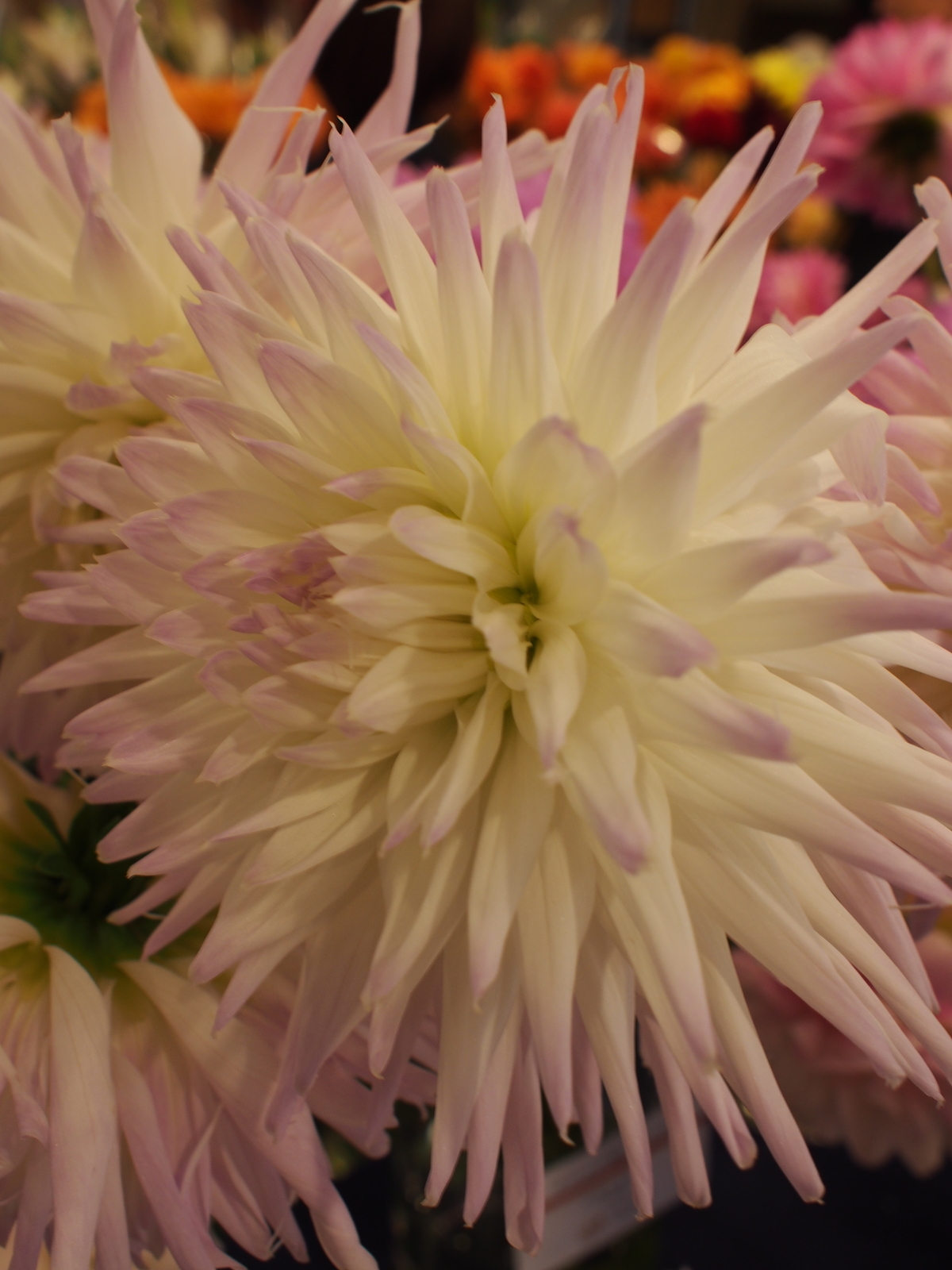 f:id:k10no3:20191013133717j:plain
