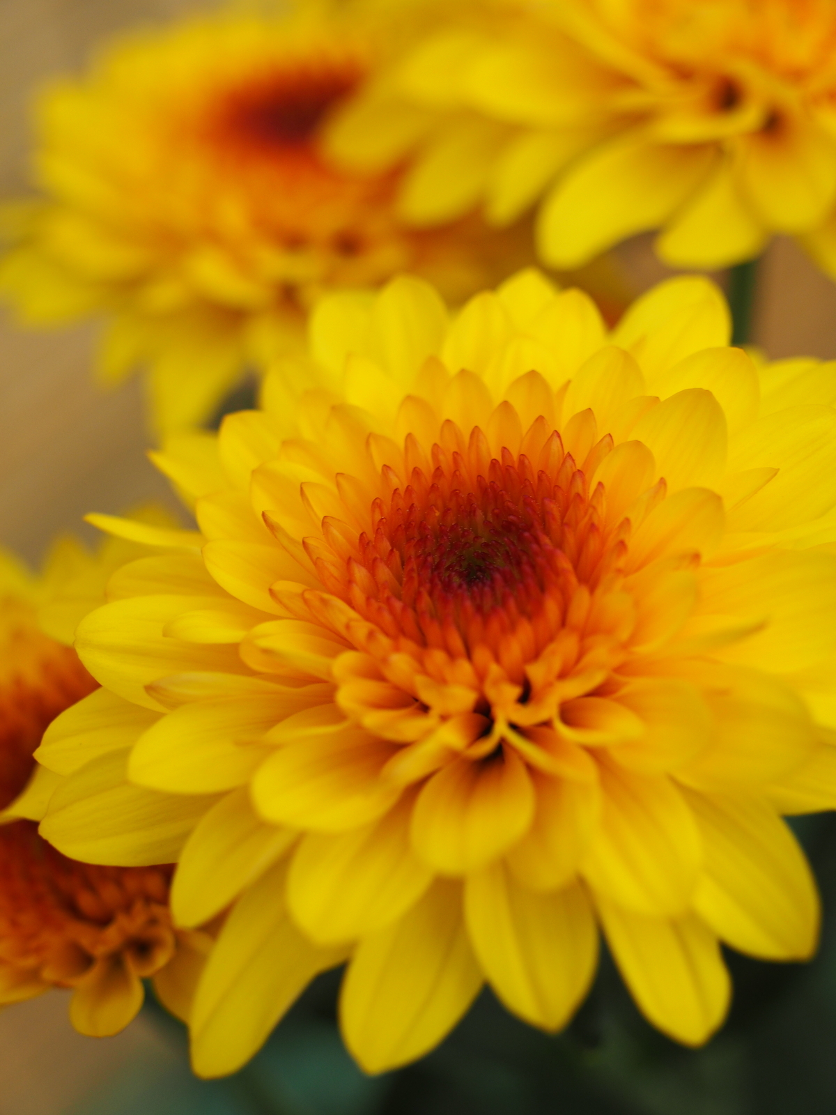 f:id:k10no3:20191027140209j:plain