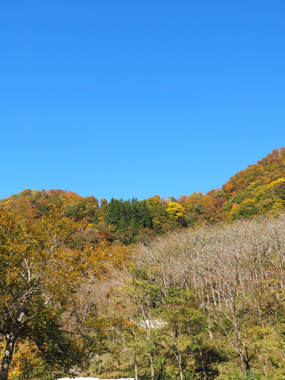 f:id:k10no3:20191102103307j:plain