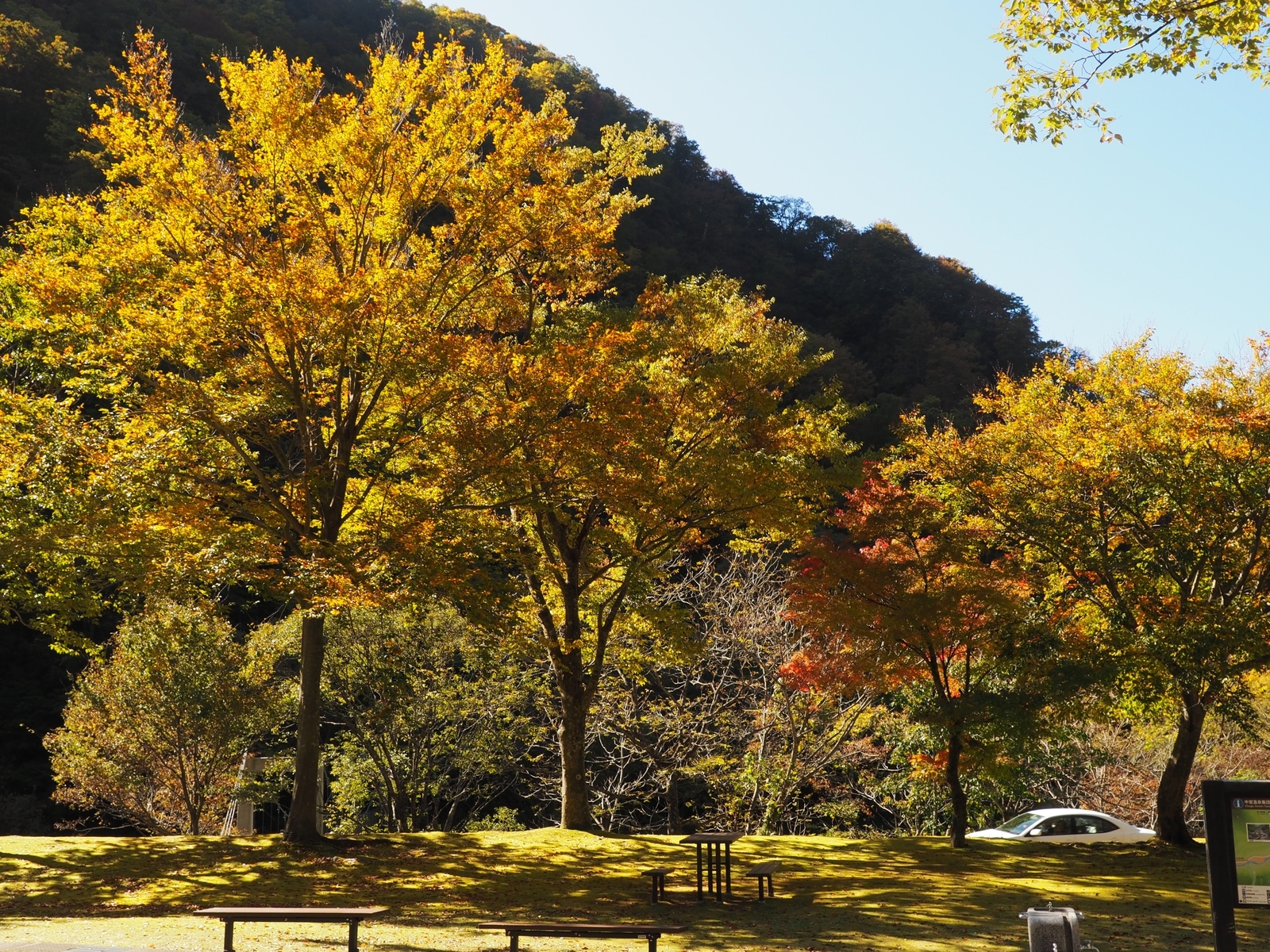 f:id:k10no3:20191102104857j:plain