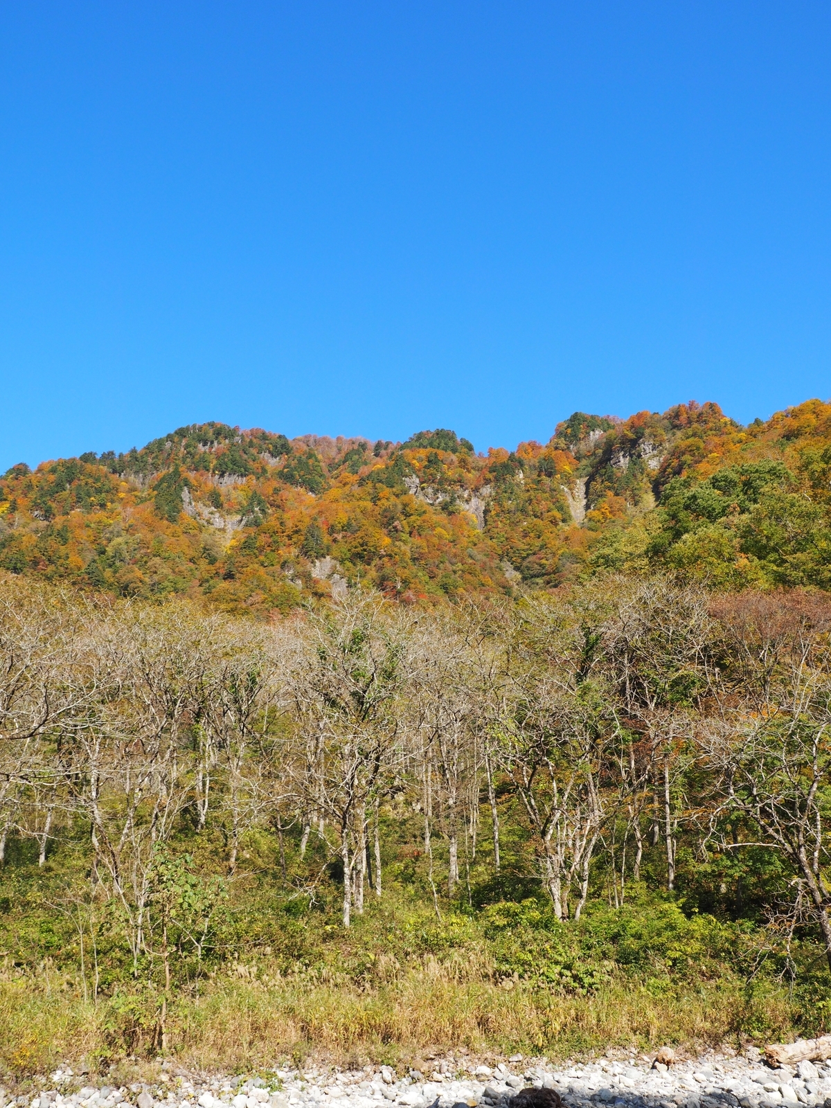 f:id:k10no3:20191102105318j:plain