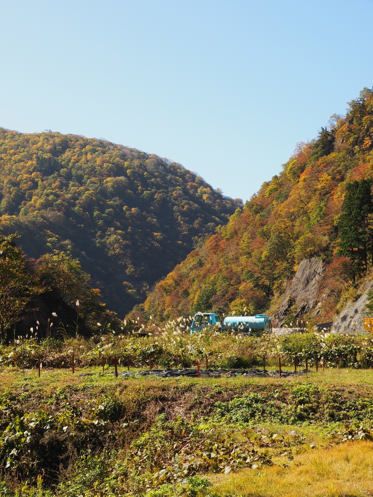 f:id:k10no3:20191102112634j:plain