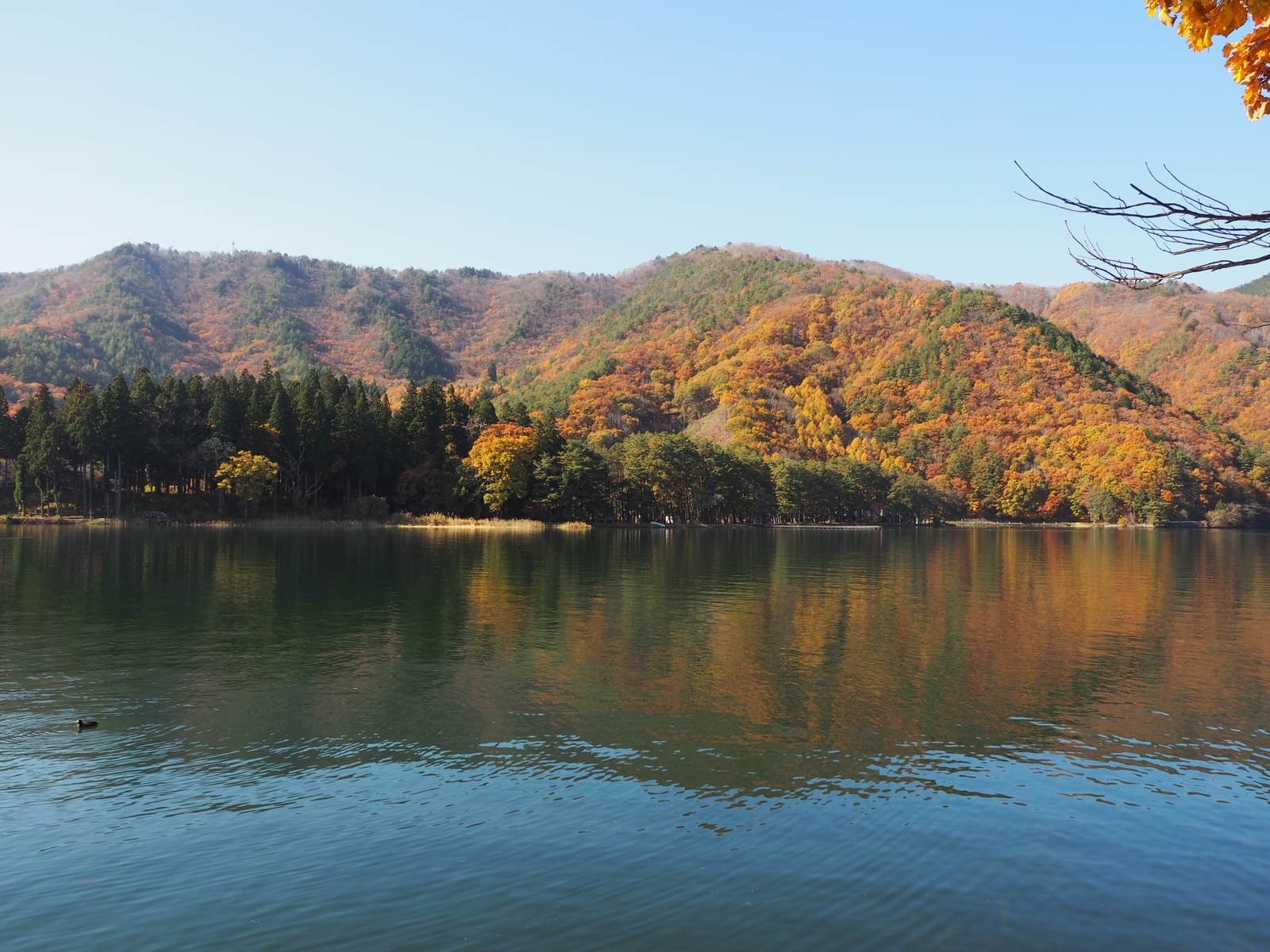 f:id:k10no3:20191113101835j:plain