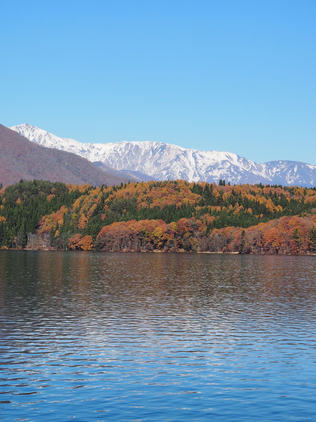 f:id:k10no3:20191113103420j:plain