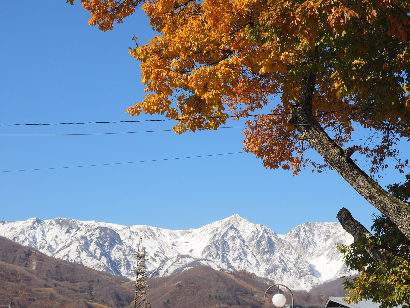 f:id:k10no3:20191113105501j:plain