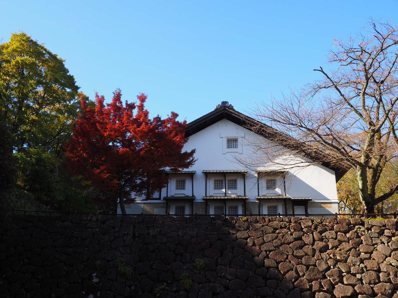 f:id:k10no3:20191123112204j:plain