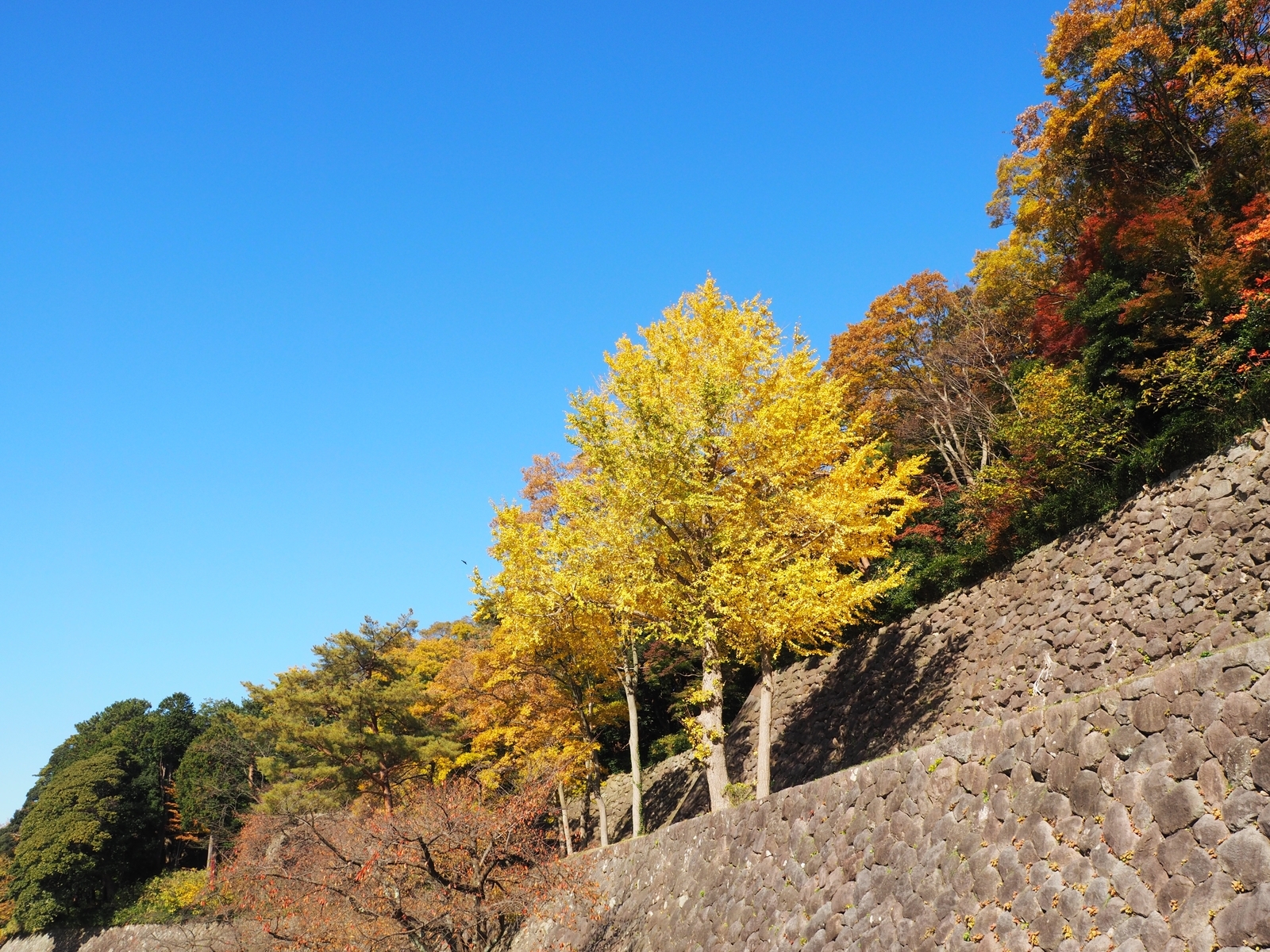 f:id:k10no3:20191123120117j:plain