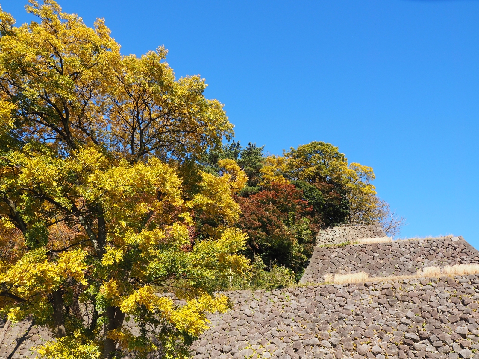 f:id:k10no3:20191123120421j:plain