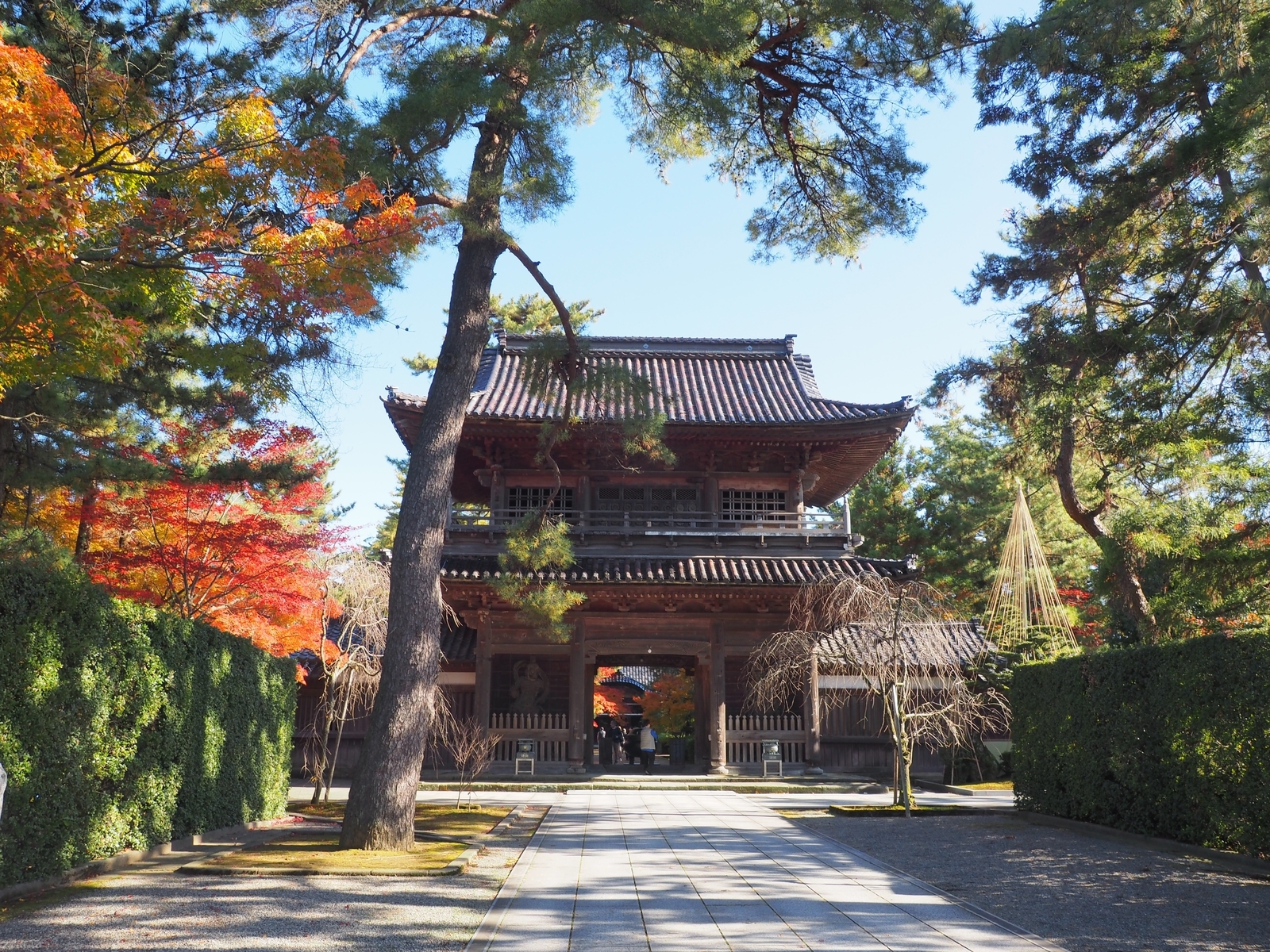 f:id:k10no3:20191123123717j:plain