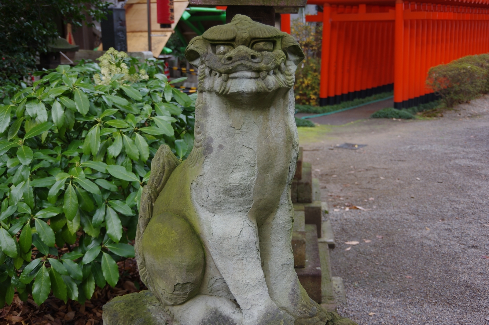 f:id:k10no3:20200104102644j:plain