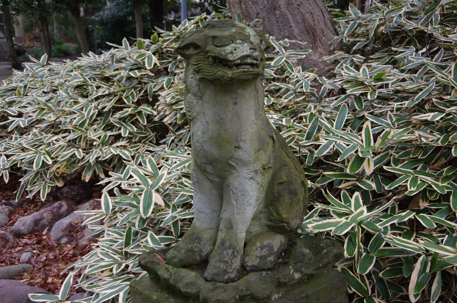 f:id:k10no3:20200104102649j:plain