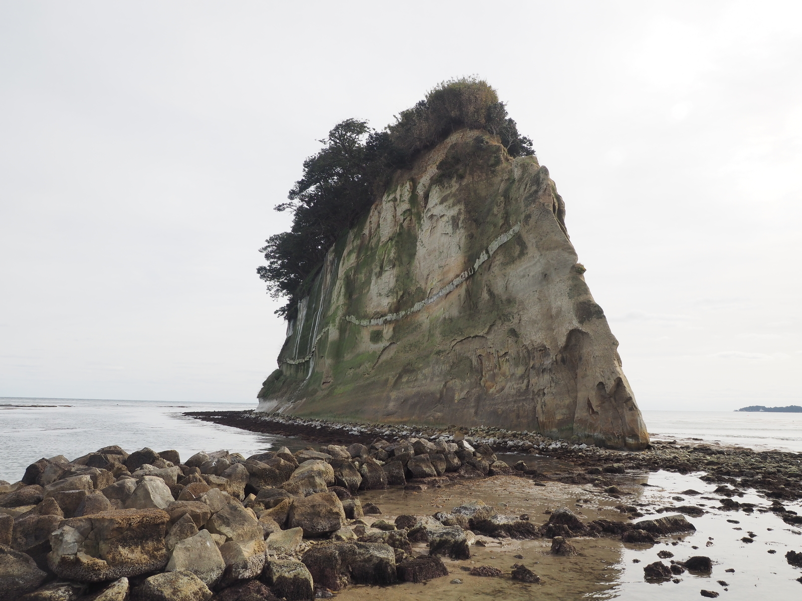 f:id:k10no3:20200125115646j:plain