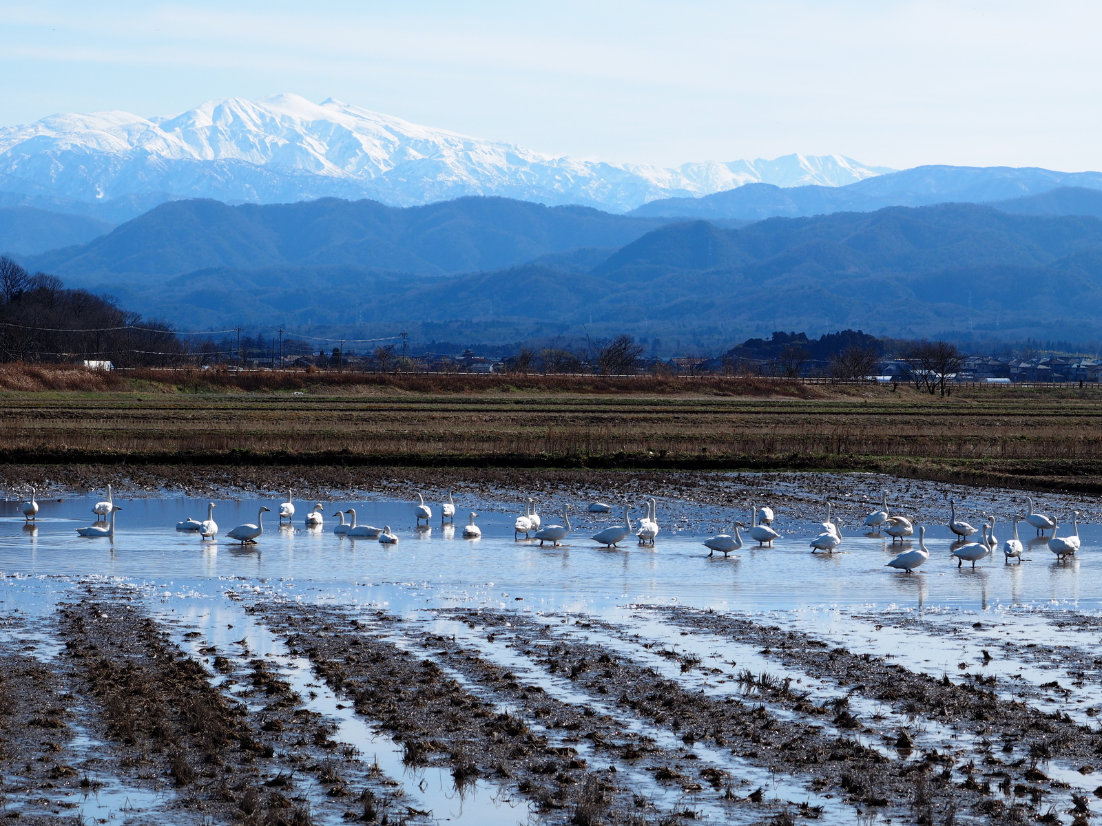 f:id:k10no3:20200126112104j:plain