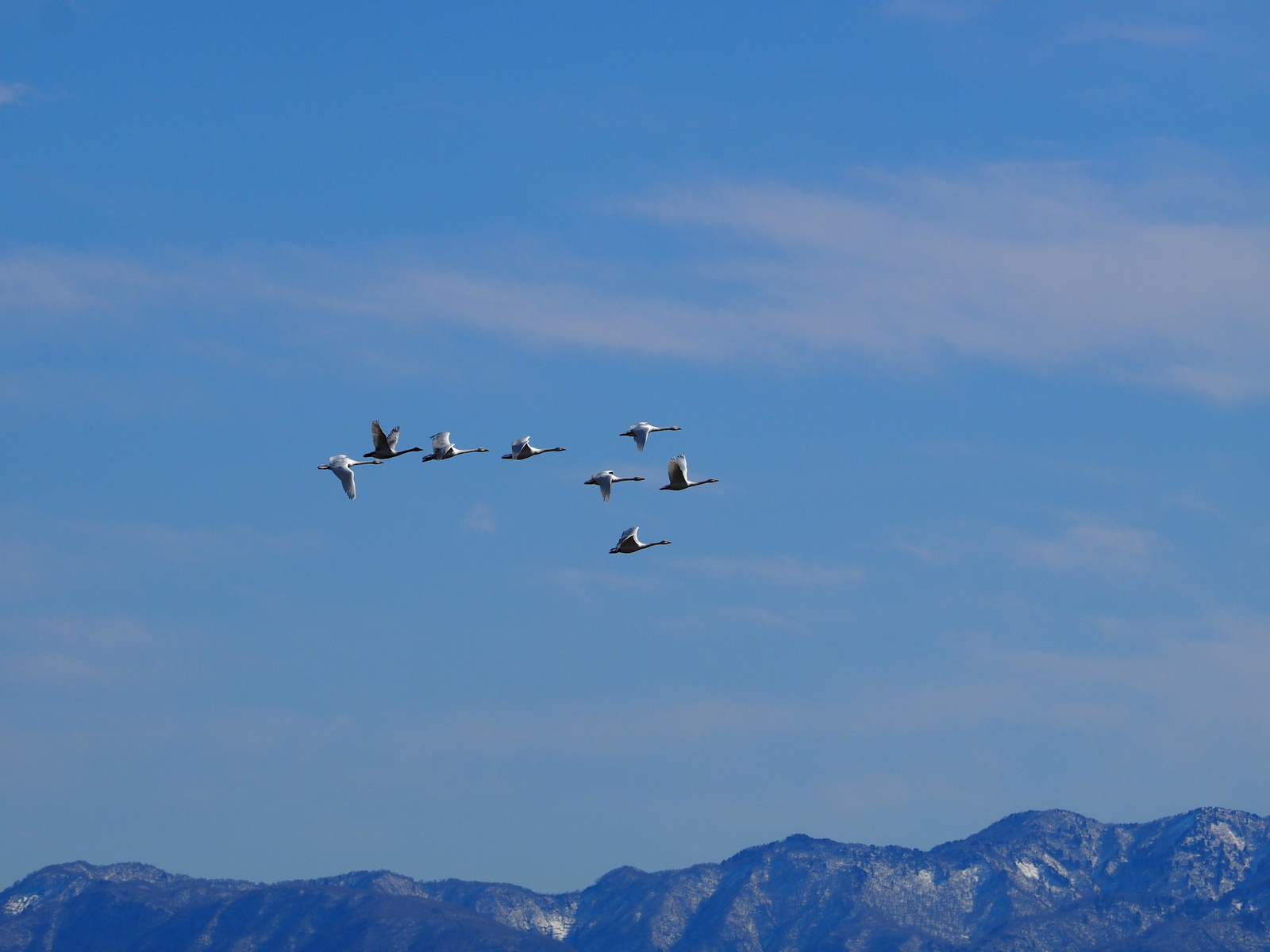 f:id:k10no3:20200126112755j:plain