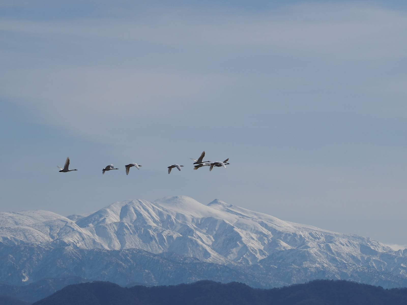 f:id:k10no3:20200126112804j:plain